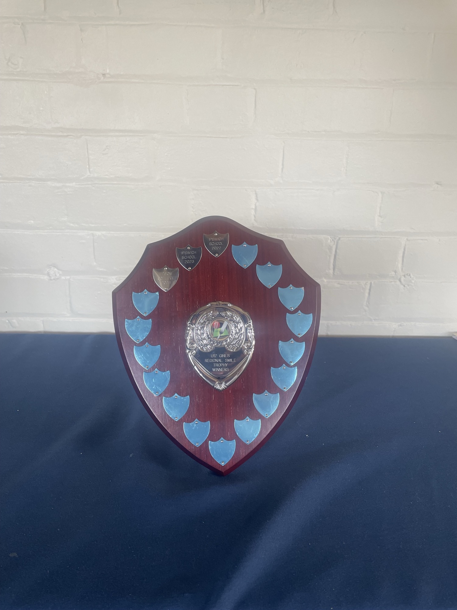 U17 Smile Shield detail