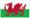 Wales badge